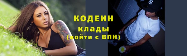 гашик Осташков