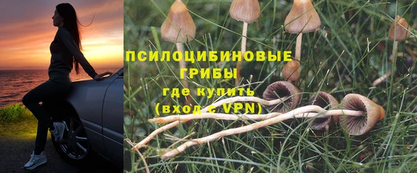 а пвп мука Няндома