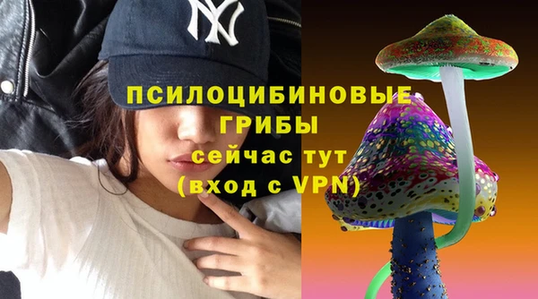 spice Осинники