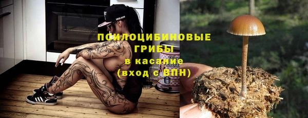 МДПВ Остров