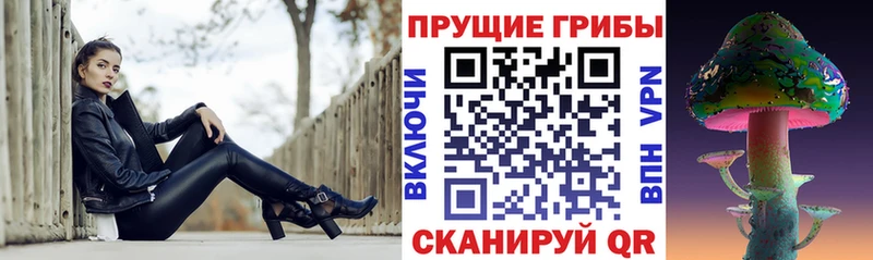 Галлюциногенные грибы Psilocybe  сколько стоит  Нелидово 
